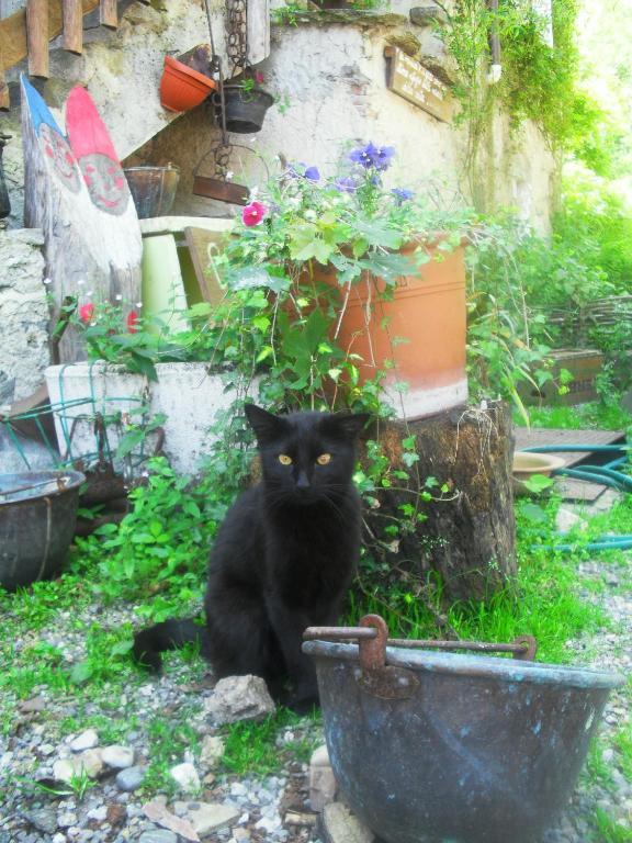 B&B Il Gatto Nero Castelveccana Exterior foto