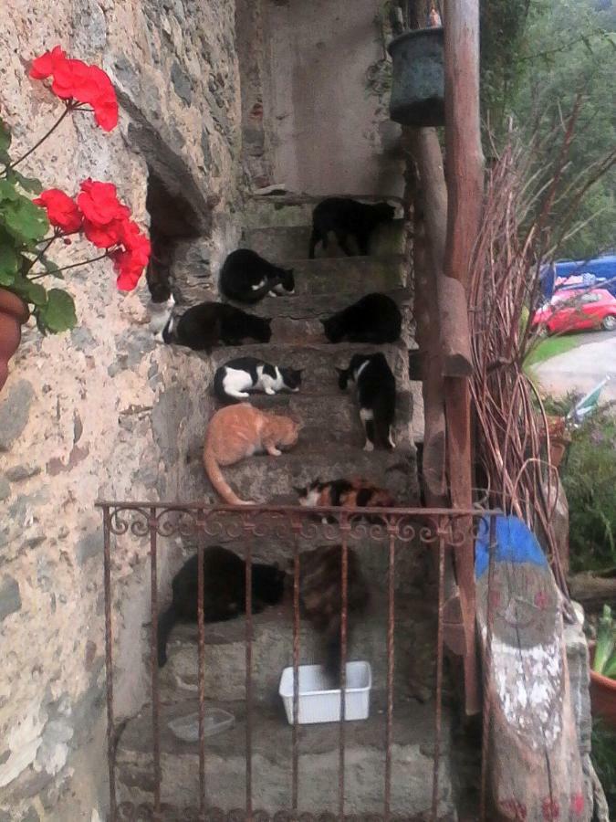 B&B Il Gatto Nero Castelveccana Exterior foto